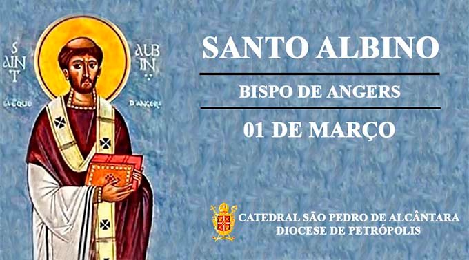 Read more about the article Santo Albino – 01/03